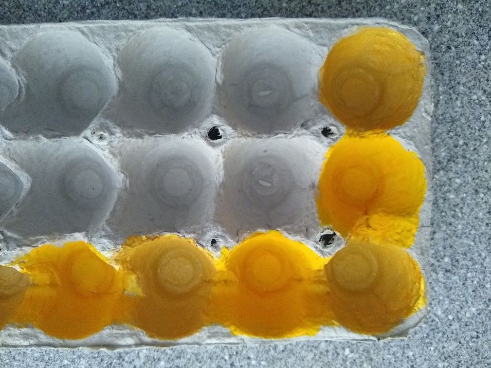 Image 41 Described in nearby text.