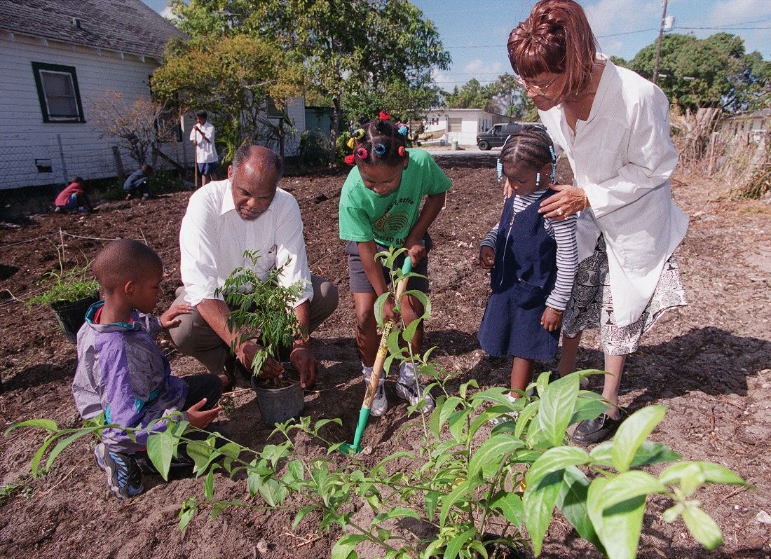 A family planting a garden to grow food. 