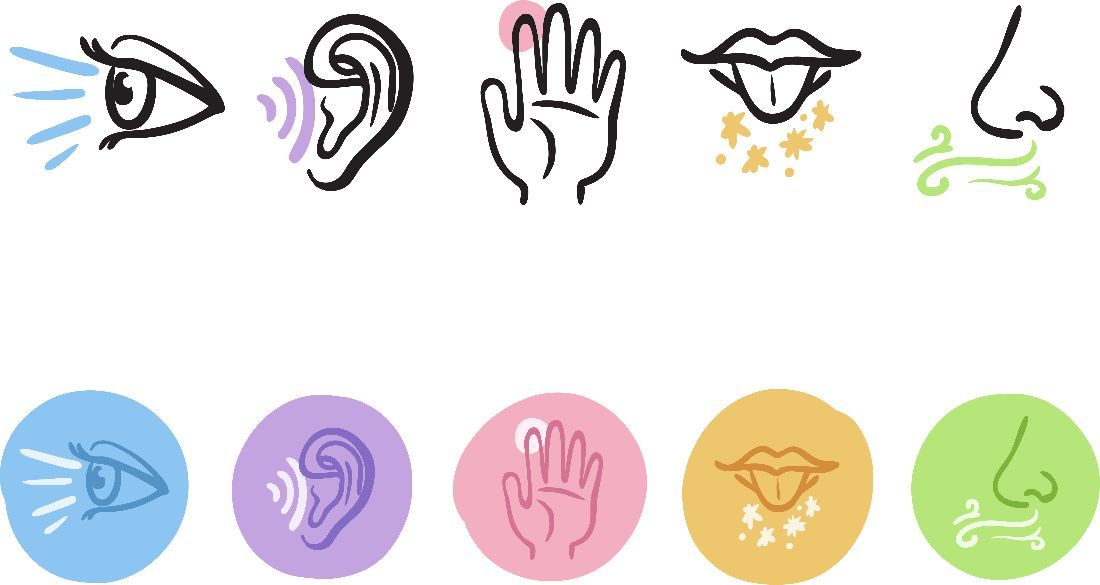 Figure 15 Humans sense the world using their five senses.