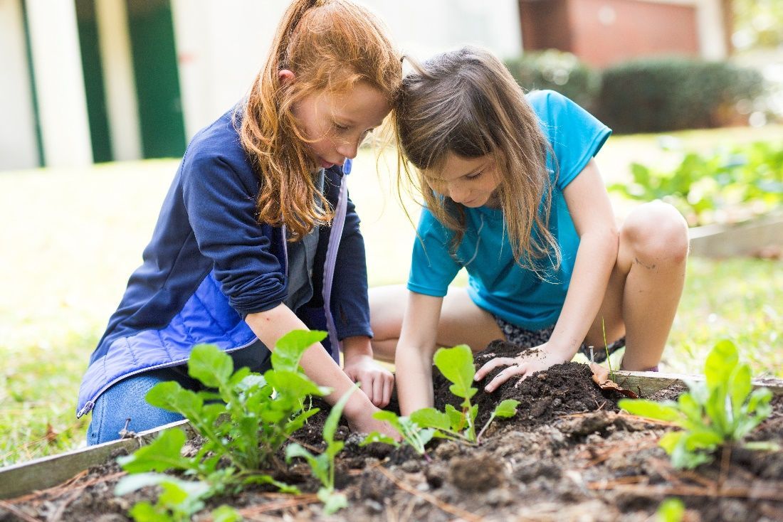 Figure 11 Two sisters working to do their part in their family garden.