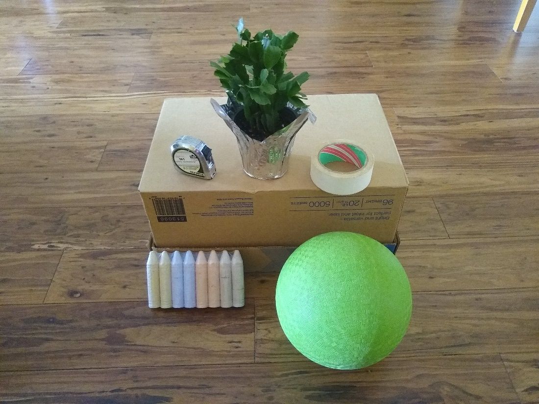A kickball could represent the sun, a small potted plant could represent your floral source, and a cardboard box could represent the hive. Masking tape could be used to mark off your bee frame inside on carpet or chalk for outdoors on cement surface. You can use any items you have.