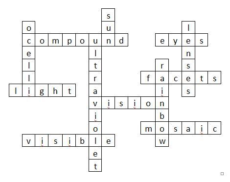 Image 120 Crossword puzzle answer key