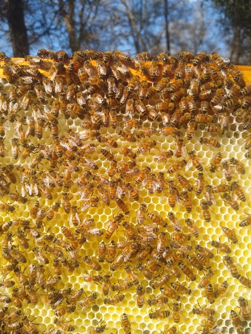 Image 64 Michael Hammond, used by permission.