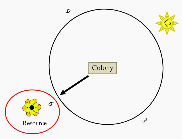 An overhead view of the position of the sun and the resource in relation to the colony. 