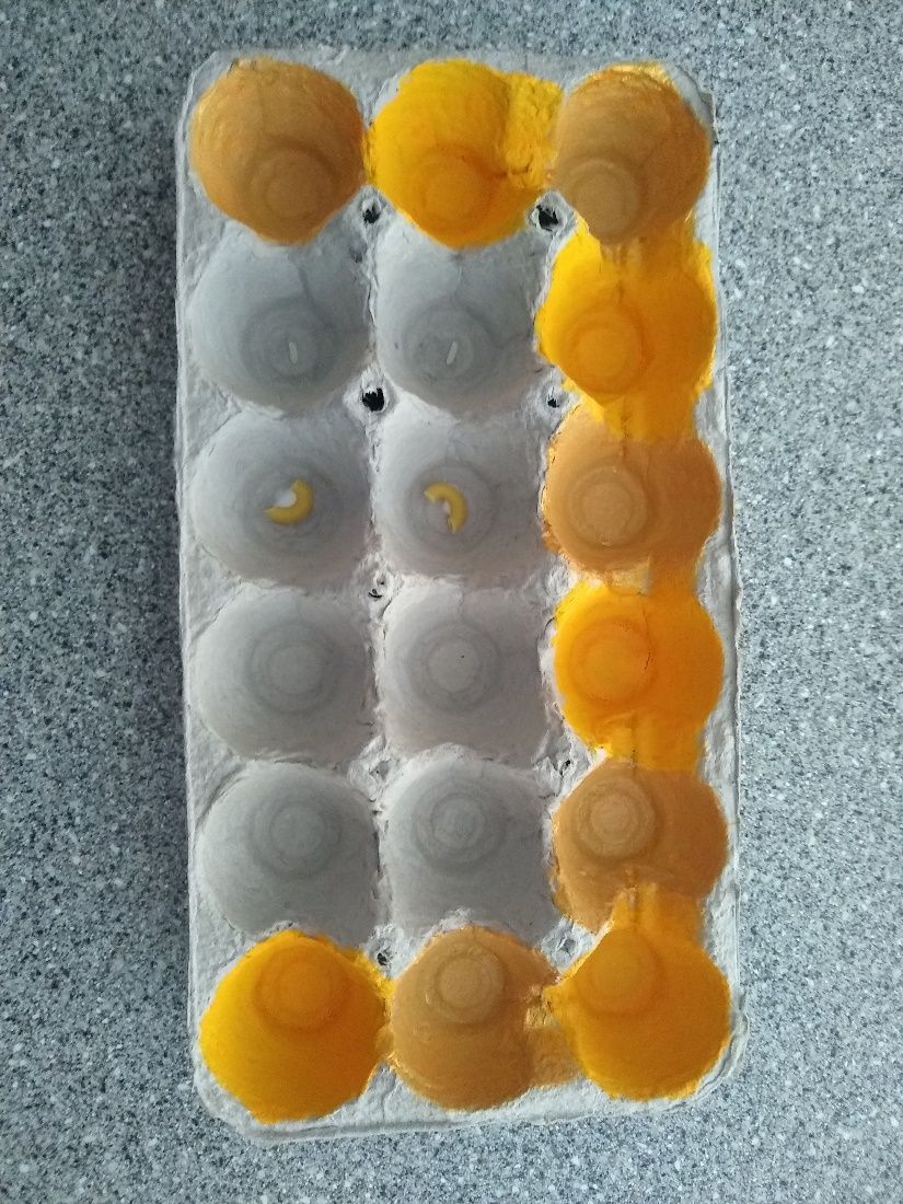 Image 42 Described in nearby text.