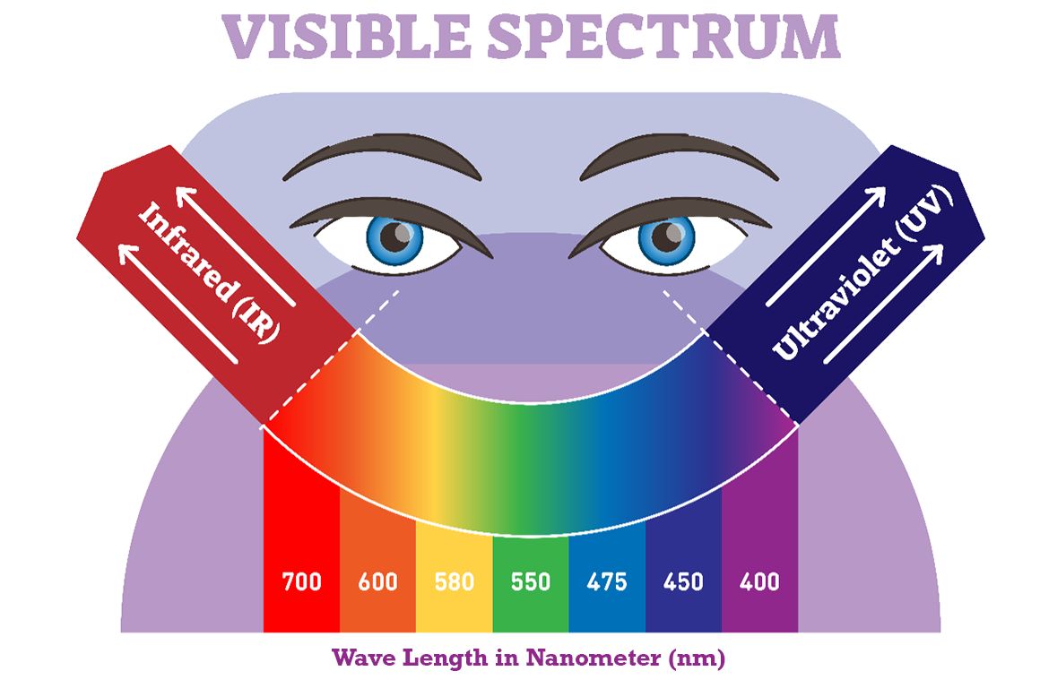 A diagram showing the spectrum or range of light that comes from the sun. 