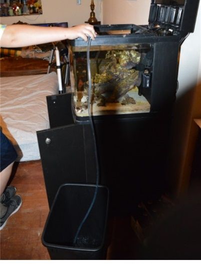 A person holding a hose to a fish tank

Description automatically generated with low confidence