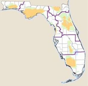 Figure 3. Bear populations in the state of Florida.