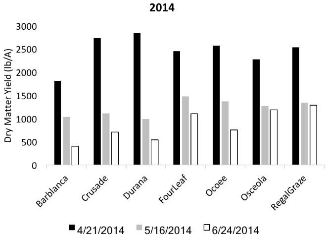 Figure 4. Biomass yield of white clover varieties measured in the 2013–2014 season; UF/IFAS NFREC, Marianna, FL. Standard error=169 lb/A.