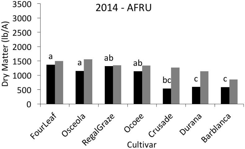 Figure 6. Biomass yield of white clover varieties measured in the 2013–2014 season; AFRU, Hague, FL.