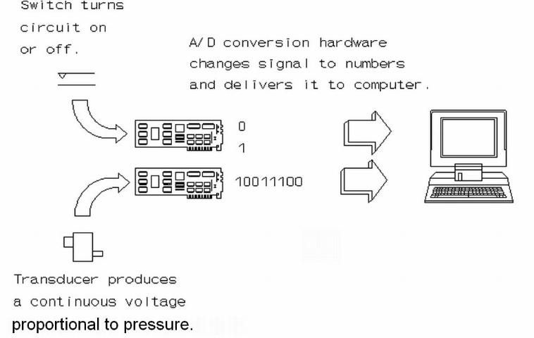 Figure 3. A/D Interface