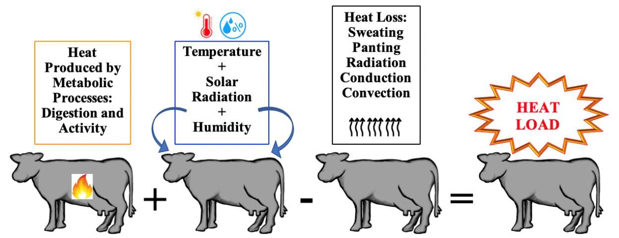 Figure 1. Heat stress in dairy cows.