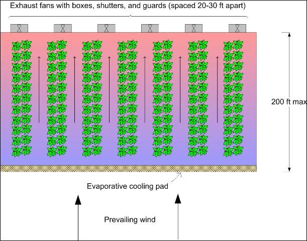 Figure 1. Typical fan and pad greenhouse arrangement. The coolest area of the greenhouse is adjacent to the evaporative cooling pads. As this cooled air moves along the width of the greenhouse, it sucks up heat so that the exhaust air is warmer than the inlet air.