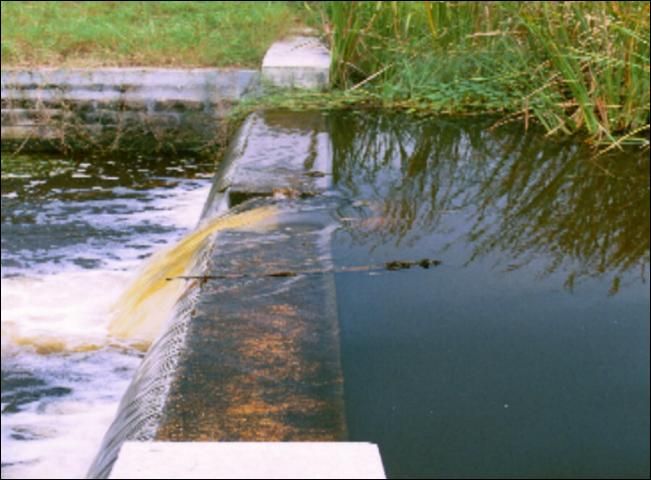 Figure 7. V-notch weir outfall on citrus wet detention area.