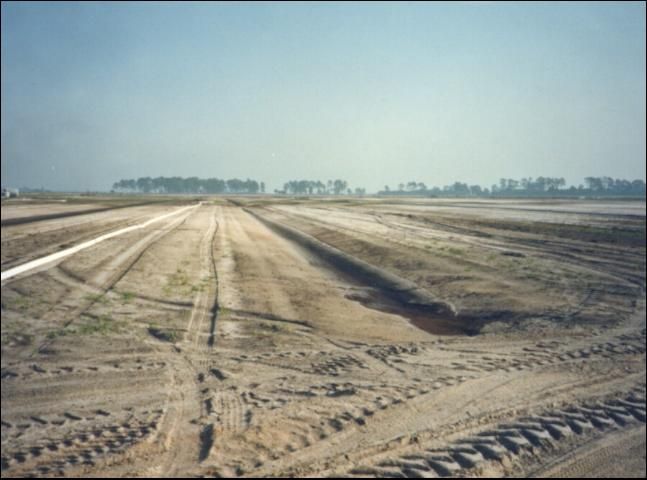 Figure 2. Typical construction of 2-row beds in flatwoods citrus groves.