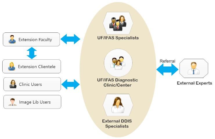Figure 2. Collaboration among DDIS users and diagnostic clinics or specialists.