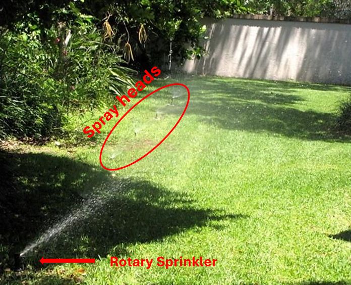 Mixed sprinkler types. Note: Rotary sprinkler in foreground and spray heads in background.