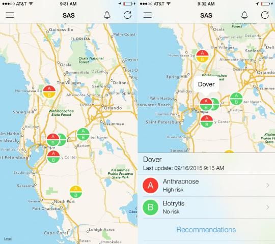 Figure 1. First screen of the SAS—Strawberry Advisory System mobile app showing disease risk levels for stations in central Florida and specific information for the Dover weather station.
