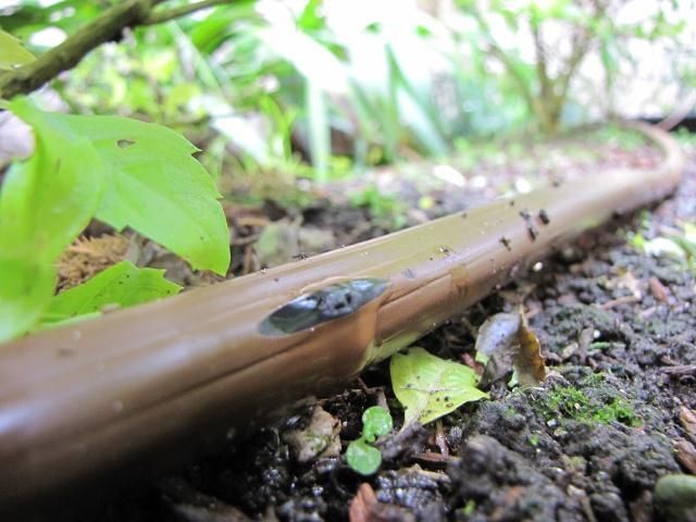 Drip tubing in-line emitter.