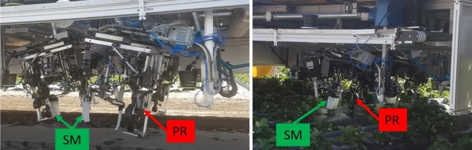 Figure 4. HCR harvester main picking components. A. Strawberry-picking robots (PR). B. Support mechanism (SM) for moving leaf foliage.