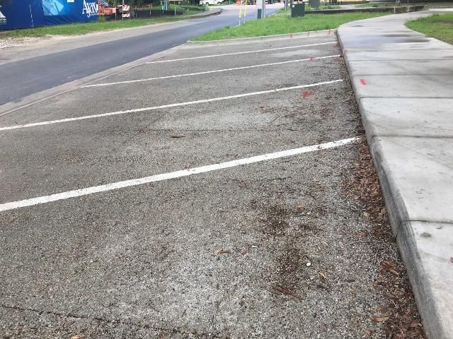 Figure 5. Porous concrete parking stalls. Note the accumulation of leaves and organic material along the curb, which can lead to surface clogging of the pavement. Clogging material should be removed regularly to maintain system performance.