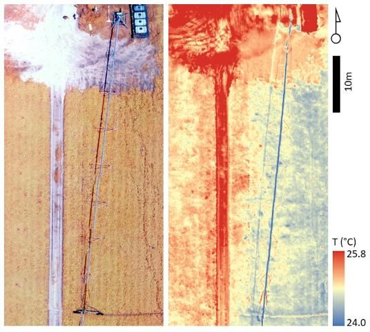 Figure 2. Thermography reveals patterns of canopy cooling via irrigation from a center-pivot irrigation system in Hastings, FL. The image on the left shows a color infrared image (red denotes vegetation) acquired concurrently with thermal imaging (right image, color encoded as temperature). The thermal image illustrates the reduction in canopy temperature around the region wetted by the sprinklers (to the right of the sprinkler.)