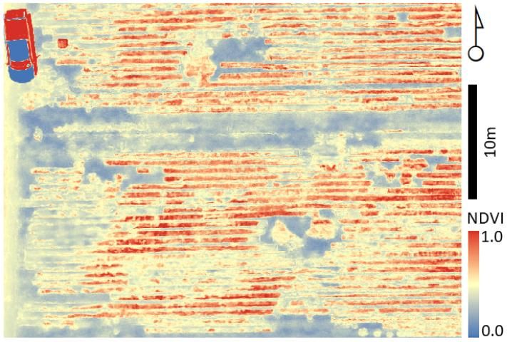 Figure 1. Patterns of NDVI (contrast between red and NIR wavebands calculated as [NIR - Red]/[NIR + Red]) scale the image between -1.0 (no vegetation) to +1.0 (full canopy with around three leaf layers). This image from a turfgrass operation in Hastings, FL shows variations of canopy closure in an early stage of development. Transitional regions between deep blue or red indicate variations between no vegetation (blue) to full canopy (red). Note artifacts in coloration around the truck parked at the northwestern corner of the image.