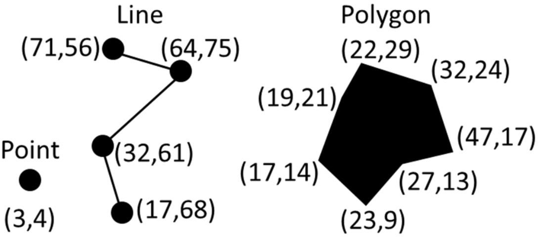 Figure 1. Types of spatial objects in vector formats.