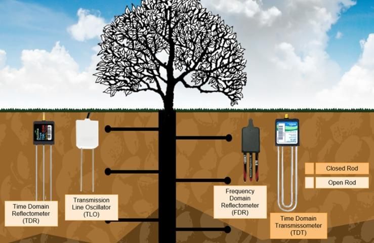 Figure 1. An example of volumetric type soil moisture sensors. Although closed-rod sensors might be very accurate, they require more careful installation compared to open-rod sensors. When installing a sensor, make sure the rods are fully covered with soil.