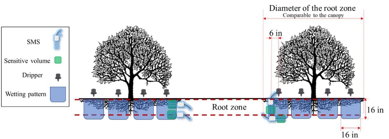 Figure 4. Example SMS placement for drip irrigation.