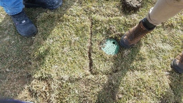 The turfgrass removed before installation was replaced over the lysimeter. An area was cut out of the sod to access the tube housing.