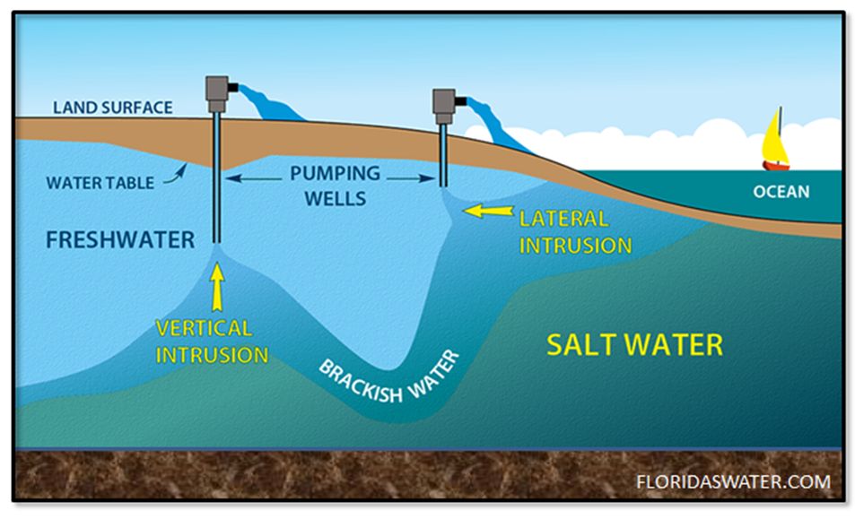 Causes of saltwater intrusion. 