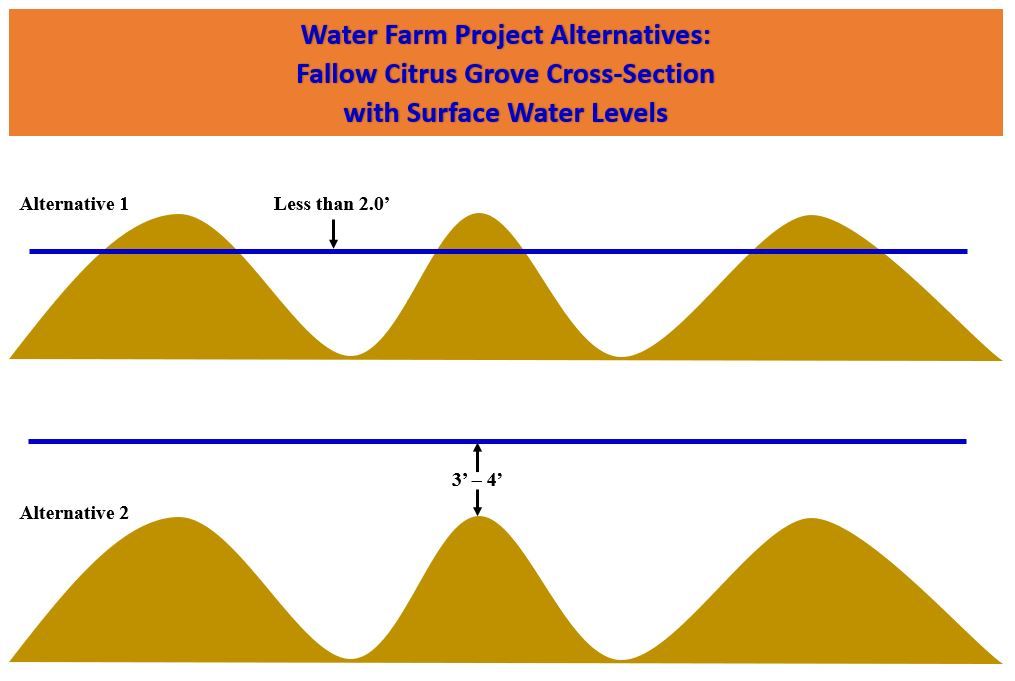 Water Farm alternative scenarios. The blue line represents water levels raised on fallow citrus lands. 