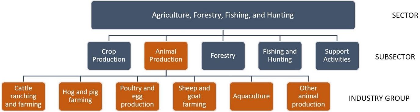 Hierarchical structure of the animal production subsector. 
