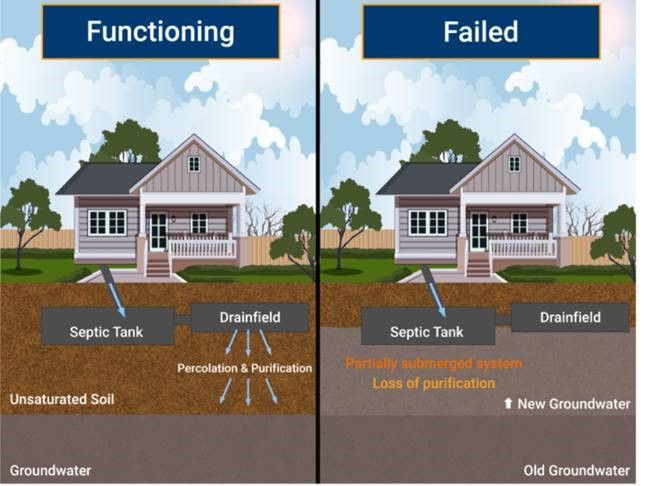 A safely functioning septic system on the left and a failed system on the right. The failed system has a higher groundwater level under it due to sea level rise associated with climate change. The rising groundwater level diminishes the septic system’s ability to adequately remove pollutants. 