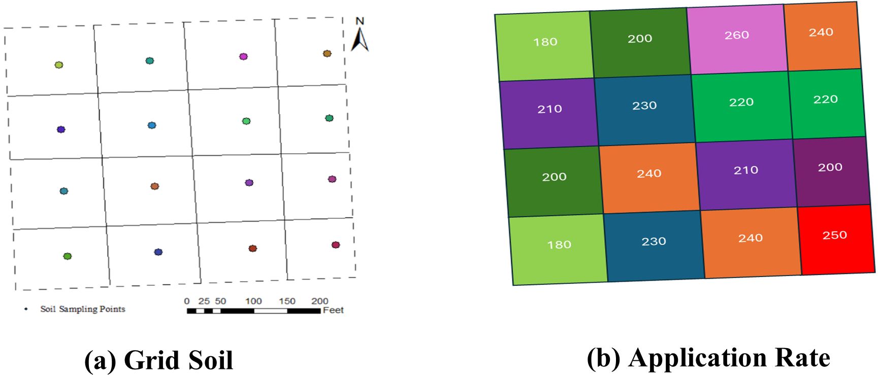 An example of constant fertilizer application rate (lb/ac) in each grid based on grid soil sampling. (a) Grid soil. (b) Application rate. 