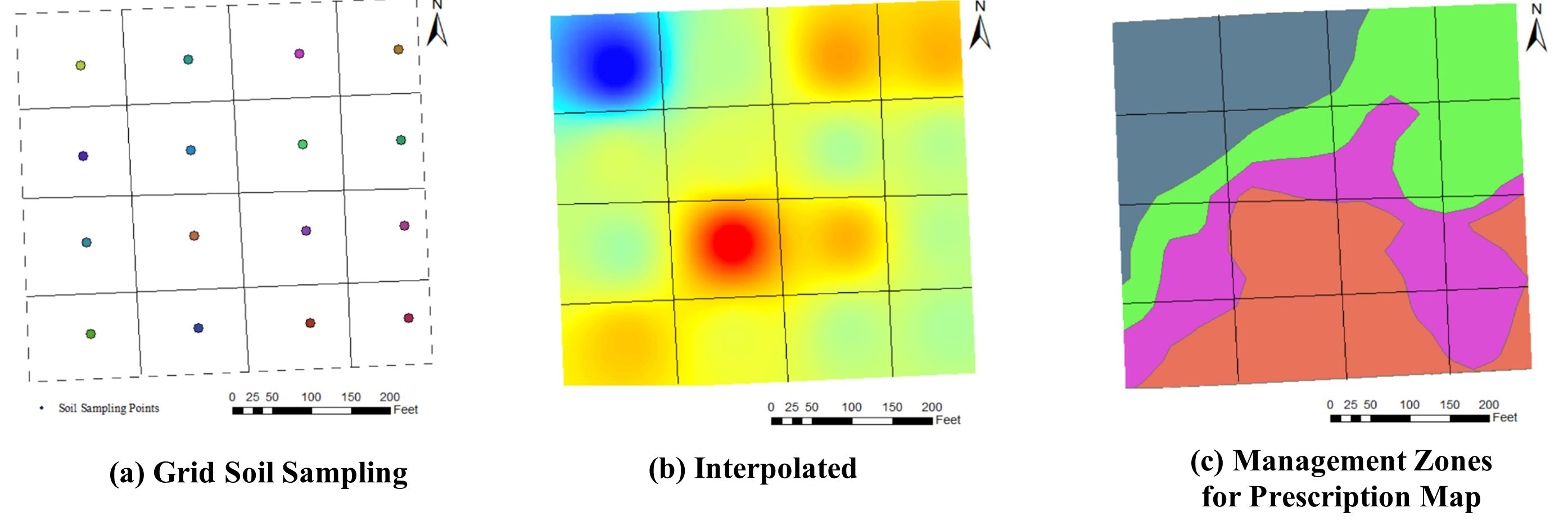 An example of constant fertilizer application rate (lb/ac) in each grid based on grid soil sampling. (a) Grid soil. (b) Application rate. 