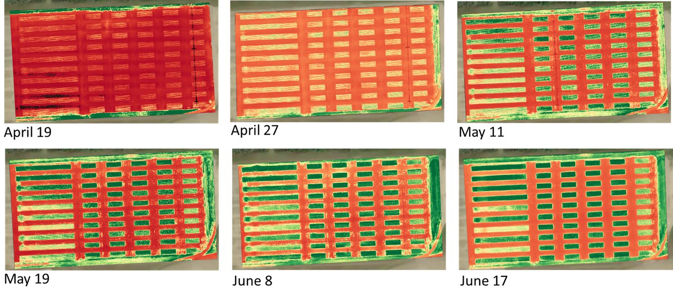 An example of constant fertilizer application rate (lb/ac) in each grid based on grid soil sampling. (a) Grid soil. (b) Application rate. 