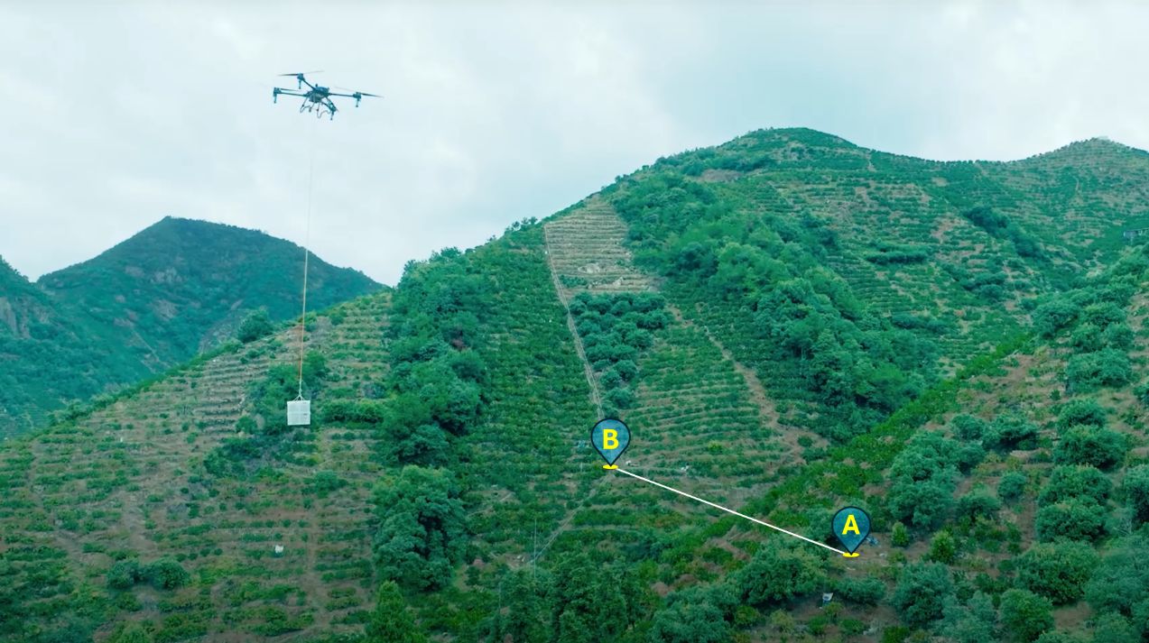 A spraying drone equipped with a cargo hoisting system transporting harvested fruit from the harvesting point (A) to the collection point (B).