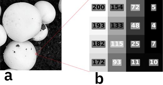 A close-up of a number

AI-generated content may be incorrect.