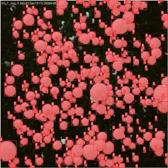 Series of red circles surrounded by red boxes, each of which identifies a detected mushroom. Illustration of the predictions of a machine learning model trained to detect mushrooms.
