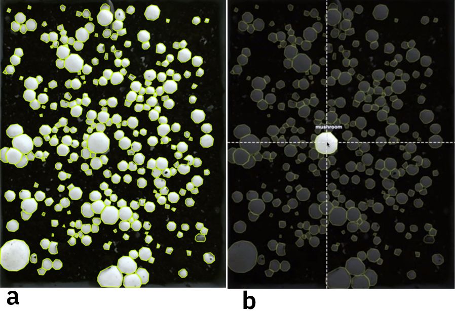 A close-up of a microscope

AI-generated content may be incorrect.