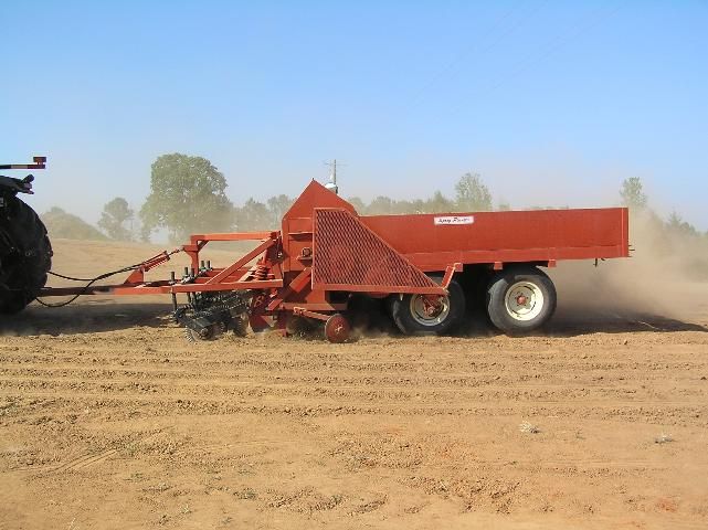 Bermudagrass sprig planting. 
