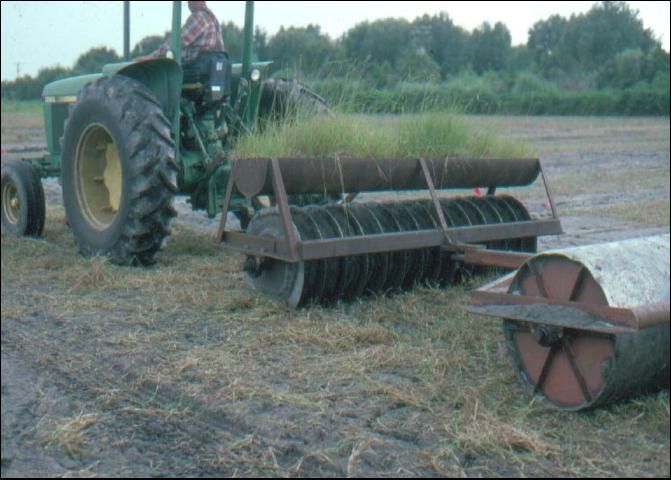 Figure 5. Crimper or 'pizza cutter' used to push planting material into soil with a roller behind it to firm the soil. A second rolling in a perpendicular direction is required.
