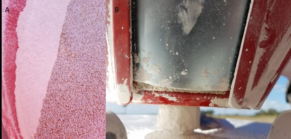Figure 6. Coating material separated from white clover seeds (A) and clogging the seed gate (B).