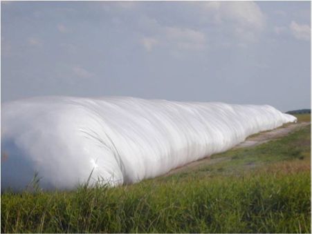 Silage stored in a pressed-bag.
