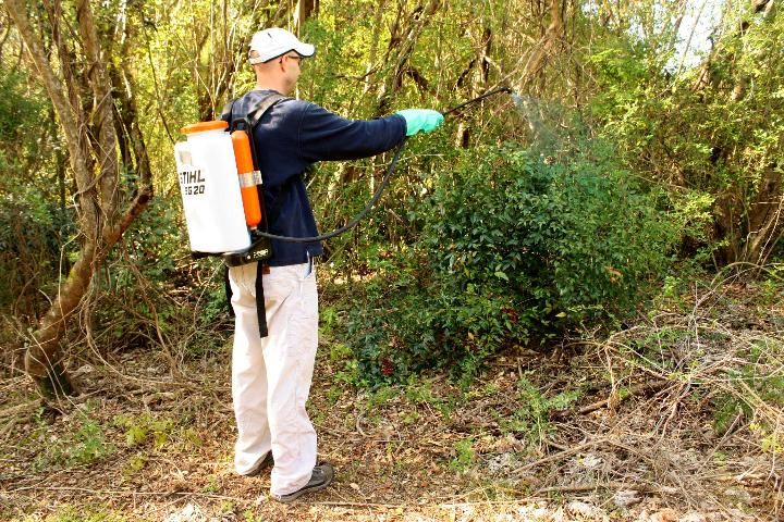 Figure 1. Foliar application with a backpack sprayer.