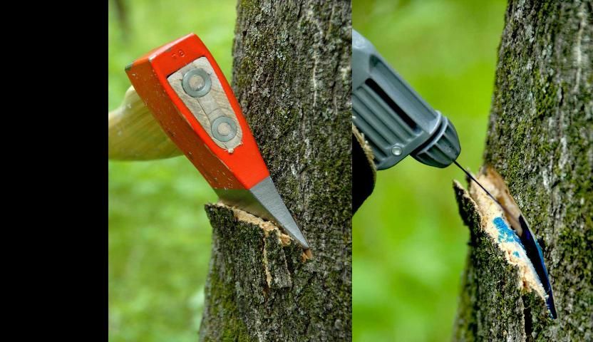 Figure 3. Hack-and-squirt application technique.