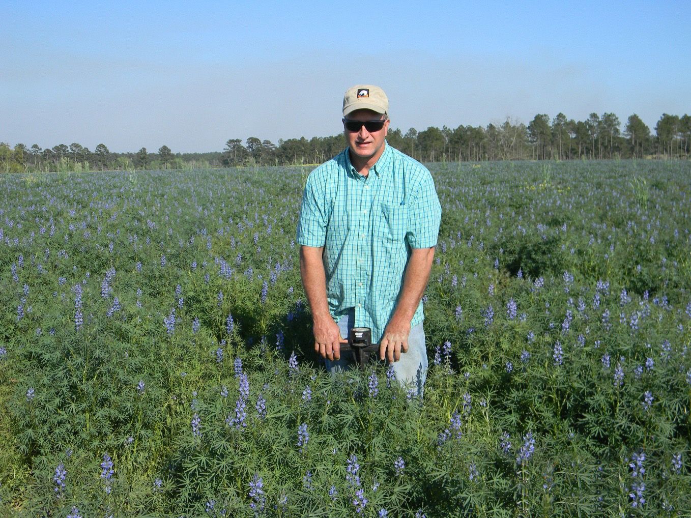 Kirk Brock in a drilled stand of bitter blue lupine in Jefferson County. 