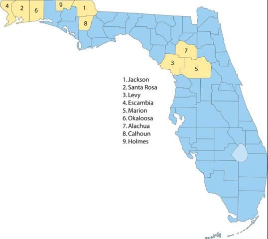 Figure 1. Florida counties with significant peanut production.